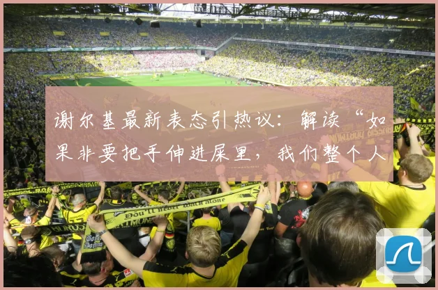 谢尔基最新表态引热议：解读“如果非要把手伸进屎里，我们整个人扑进去”的真实含义